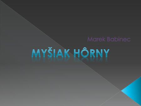 Marek Babinec Myšiak Hôrny.