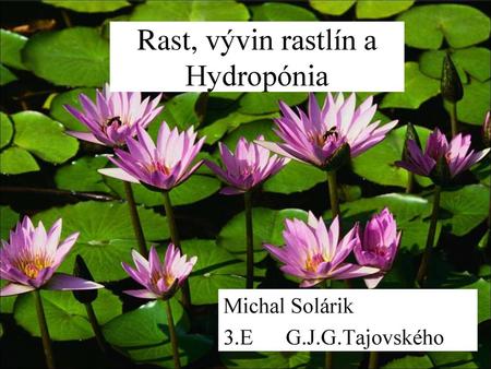 Rast, vývin rastlín a Hydropónia