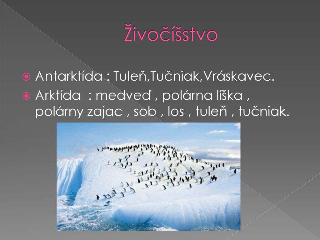 Živočíšstvo Antarktída : Tuleň,Tučniak,Vráskavec.