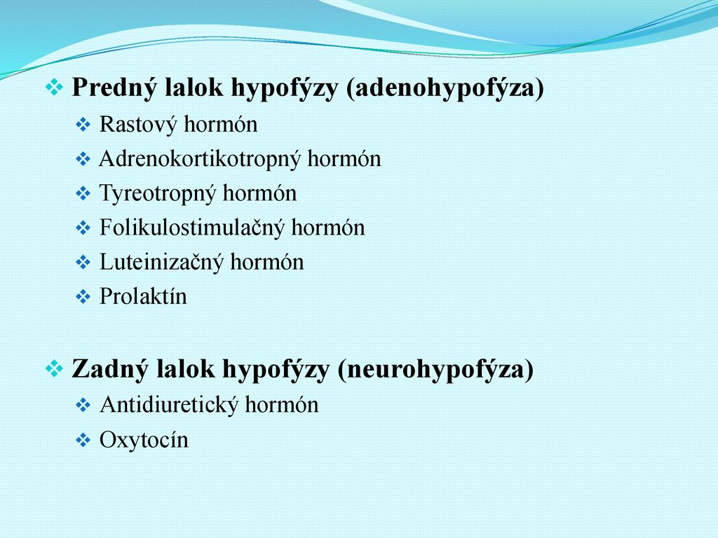 Predný lalok hypofýzy (adenohypofýza)