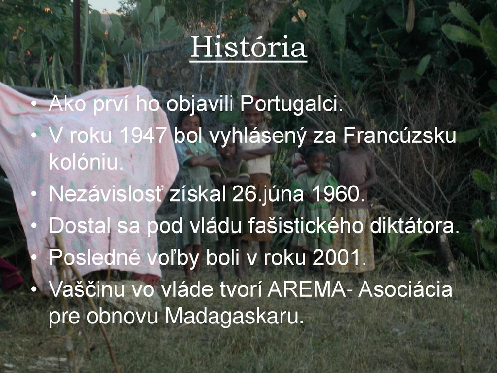 História Ako prví ho objavili Portugalci.