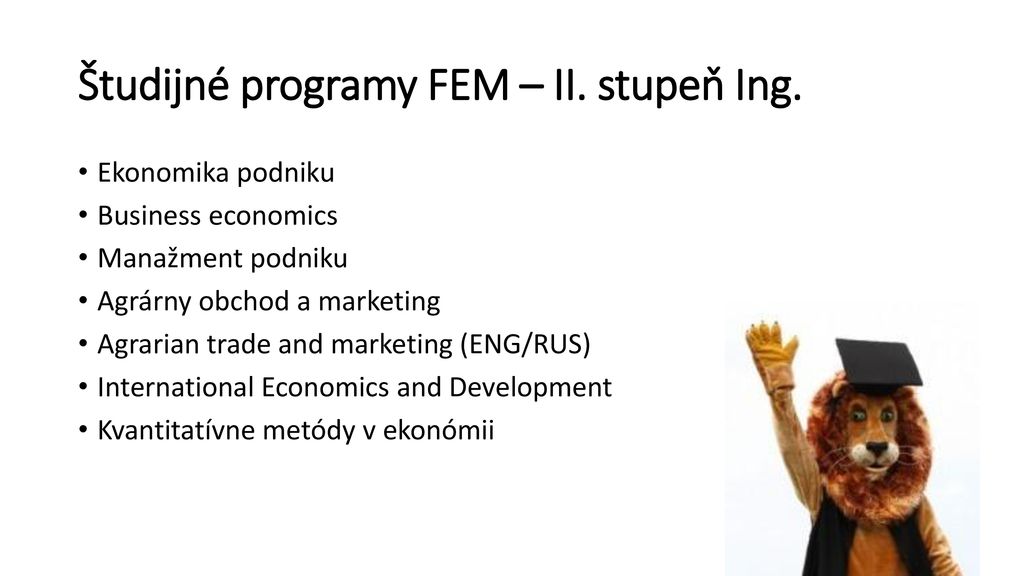Študijné programy FEM – II. stupeň Ing.