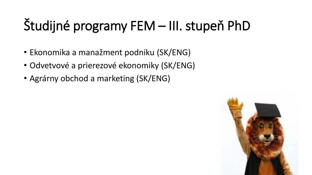 Študijné programy FEM – III. stupeň PhD