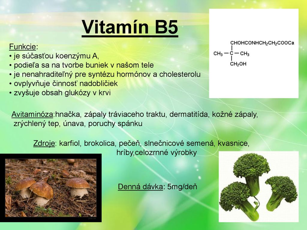 Vitamín B5 Funkcie: je súčasťou koenzýmu A,