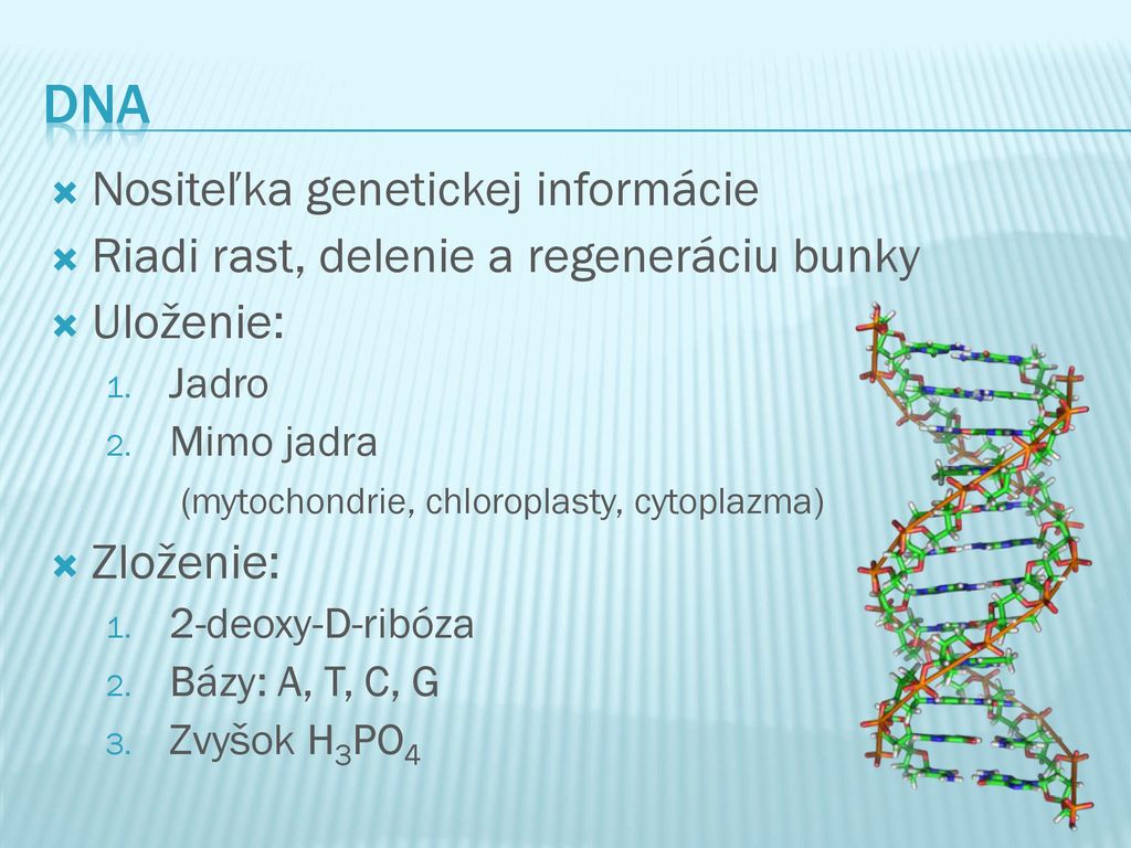 DNA Nositeľka genetickej informácie