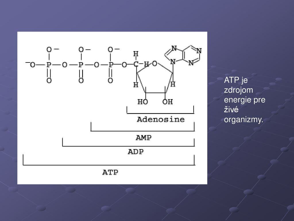 ATP je zdrojom energie pre živé organizmy.