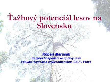Ťažbový potenciál lesov na Slovensku
