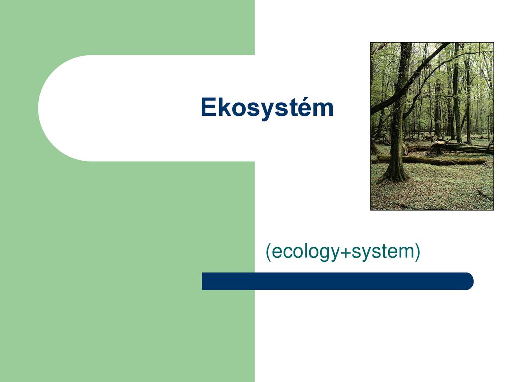Ekosystém (ecology+system)