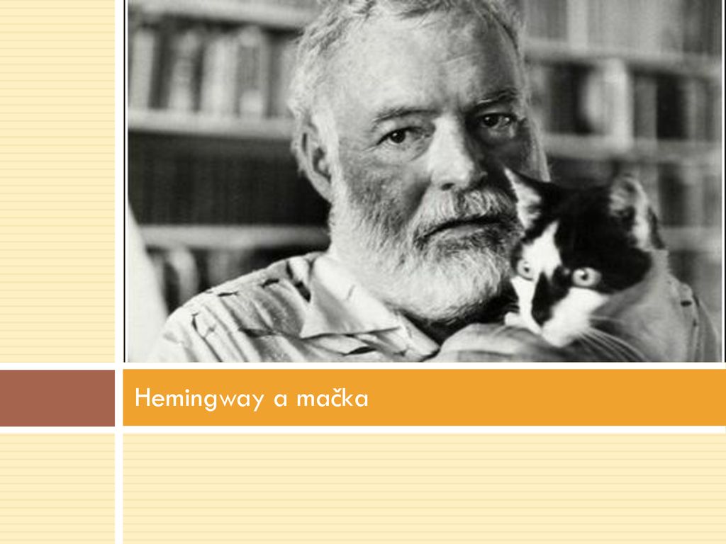 Hemingway a mačka