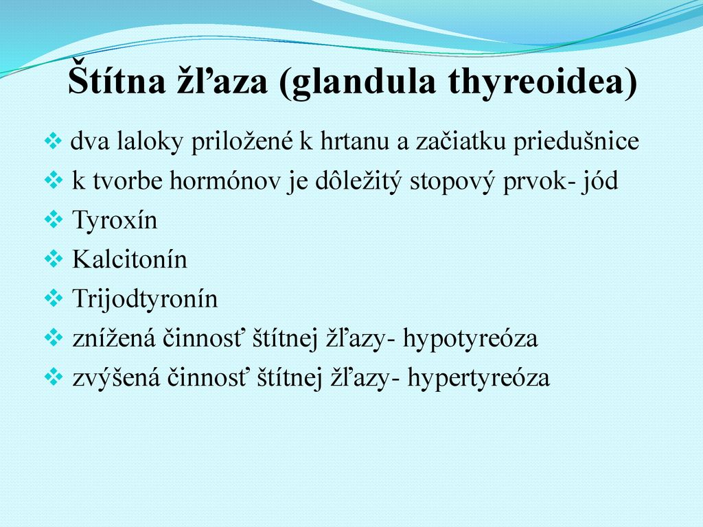 Štítna žľaza (glandula thyreoidea)