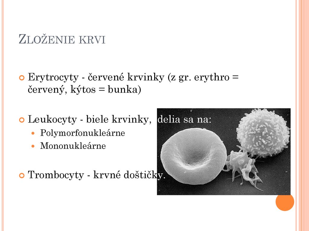 Zloženie krvi Erytrocyty - červené krvinky (z gr. erythro = červený, kýtos = bunka) Leukocyty - biele krvinky, delia sa na: