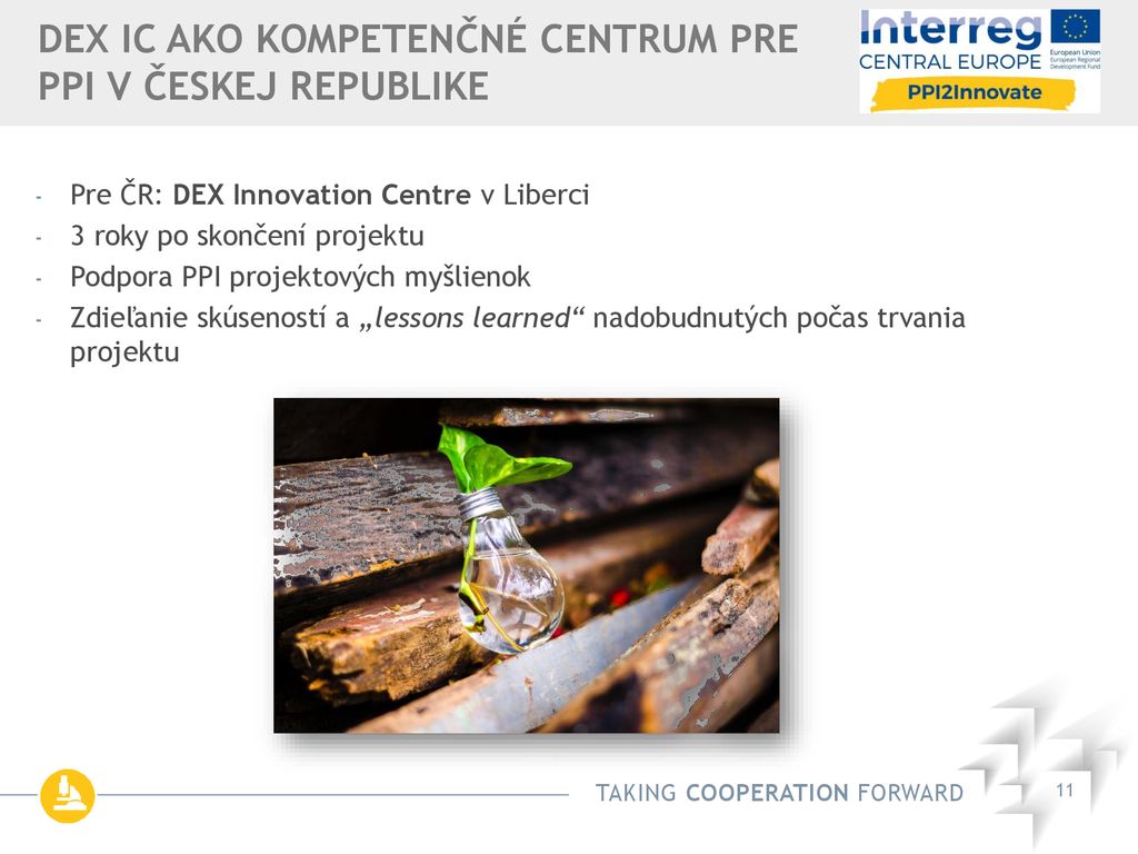 DEX IC ako Kompetenčné centrum pre ppi v českej republike