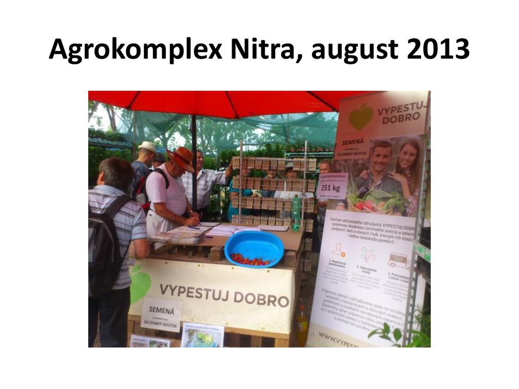 Agrokomplex Nitra, august 2013